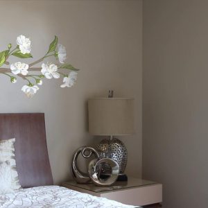Low-Tac Wall Dressing product photo