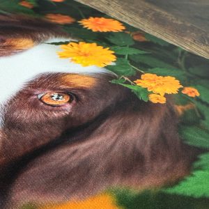 Custom Canvas Prints product photo